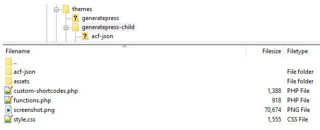 WordPress Child Theme FTP Client